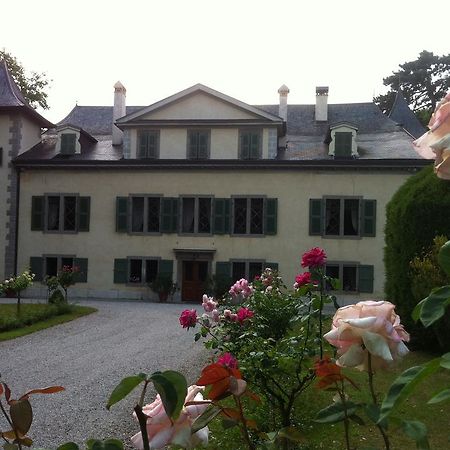 Château de Veigy Veigy-Foncenex Exterior foto